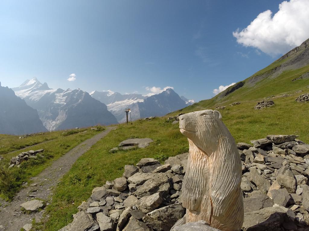 Appartamento Almis Sunna Grindelwald Esterno foto
